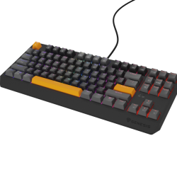 Tastatura gaming mecanica cu fir Genesis Thor 230 TKL, iluminare RGB, switch Linear, switch model Outemu Red, numar taste 87, 11 butoane multimedia, lungime cablu 1.6m, dimensiuni 363 x 155 x 39 mm, gri