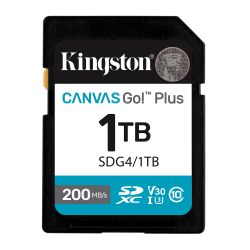 Card de Memorie SD Kingston Canvas GO Plus CL 10