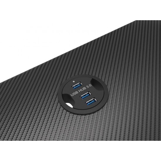 Birou gaming Genesis Holm 200, material MDF, greutate maxima suportata 55kg, 3 x porturi USB 3.0, iluminare RGB, management cabluri, ,negru