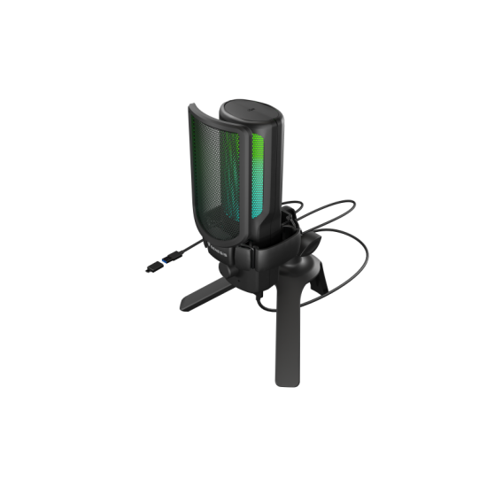 Microfon Genesis Radium 250, tip Condenser, model cardioid, suport fix, conectivitate USB-C, raspuns in frecventa 50 - 16.000 Hz, sensibilitate 40 dB, lungime cablu 200 cm, negru
