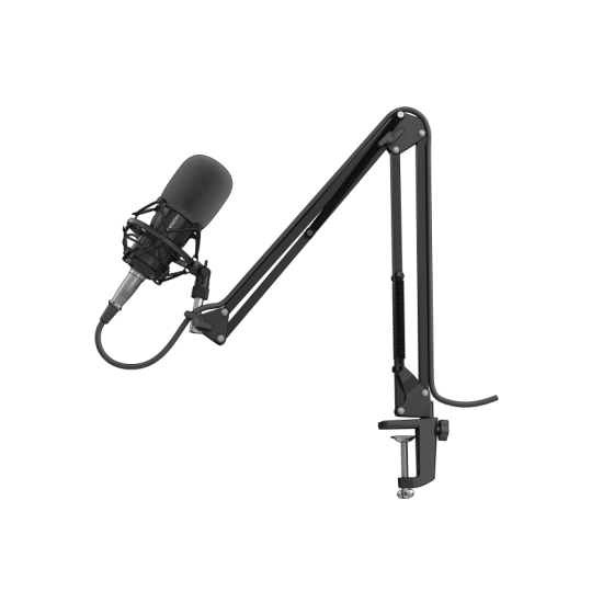 Microfon Genesis Radium 300 STUDIO XLR, tip electret condenser, model cardioid, suport fix, conectivitate Mini Jack 3.5 mm, XLR, , raspuns in frecventa 630 - 16000 Hz, sensibilitate -38 dB, lungime cablu 250 cm, negru Microfon Genesis Radium 300 STUDIO XLR, tip electret condenser, model cardioid, suport fix, conectivitate Mini Jack 3.5 mm, XLR, , raspuns in frecventa 630 - 16000 Hz, sensibilitate -38 dB, lungime cablu 250 cm, negru