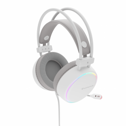 Casti gaming cu fir Genesis Neon 613 G2, sunet stereo, microfon, impendanta 32 Ohm, frecventa raspuns 20 - 20.000 Hz, lungime cablu 220 cm, iluminare RGB, frecventa raspuns microfon 10 Hz - 10 KHz, sensibilitate -42dB, conectivitate 1x Jack 3.5 mm TRRS, a