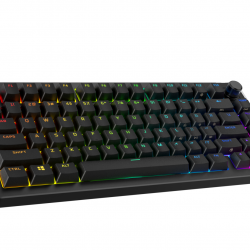 Tastatura gaming mecanica HyperX Alloy Rise, iluminare RGB (16,777,216 culori), Hyperx linear switch, 100% anti-ghosting, layout US, negru