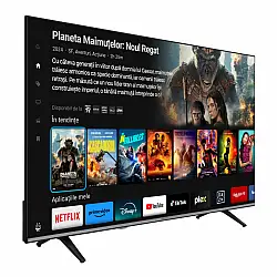 LED TV HORIZON SMART 65HL7560U/D, 65