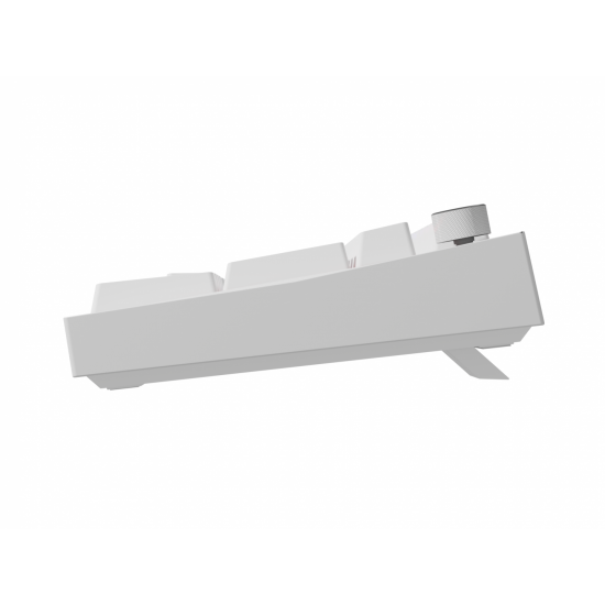 Tastatura gaming mecanica cu fir Genesis Thor 404, iluminare RGB, 107 taste, 11 butoane multimedia, alb