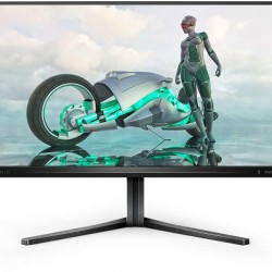 MONITOR 24.5