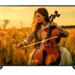 MiniLED TV 65