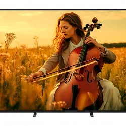MiniLED TV 65