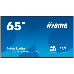 65 65