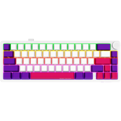 Wireless mechanical gaming keyboard Pro, 2.4 GHz, BT, RGB Backlight, 16 modes, 66 keys, 50M presses, multimedia knob, built-in 3750 mAh battery, Hot Swap,cable 2.3m, white red purple 